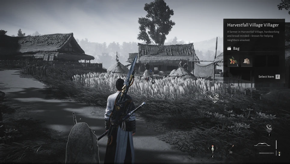 Request Item, the game's picture