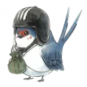 Wind-kov