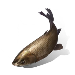 Snakehead, the game's picture