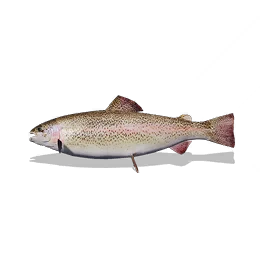 Grass Carp, the game's picture