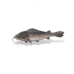 Catfish, the game's picture