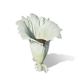 Dawnmist Grass, the game's picture