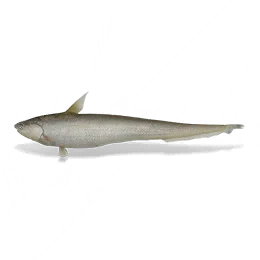 Knifefish, the game's picture
