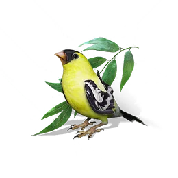 Spring Breeze Bird, the game's picture