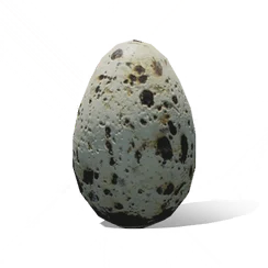 Sparrow Egg, the game's picture