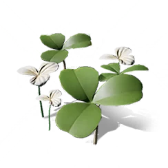 Swallow Nest Flower, the game's picture