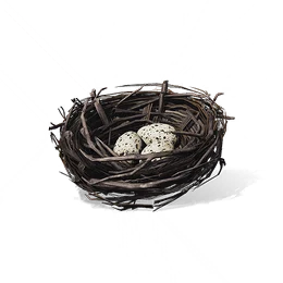 Sparrow Nest, the game's picture