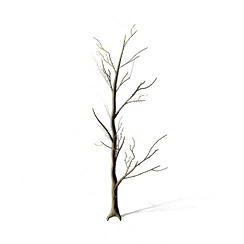 Juniper, the game's picture