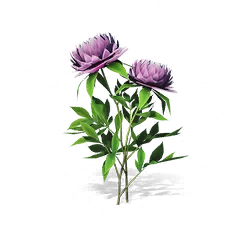 Wei's Purple Peony, the game's picture