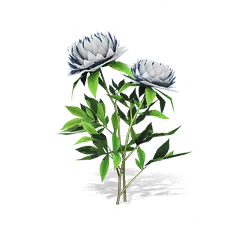 Jade Tower Peony, the game's picture