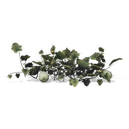 Dongling Melon, the game's picture