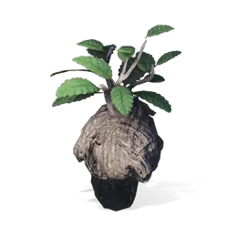 Yabru, the game's picture