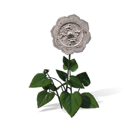 Lucent Blossom, the game's picture