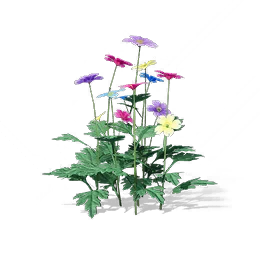 Feathered Primroses, the game's picture