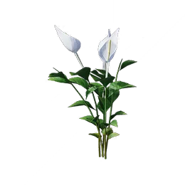 Taro, the game's picture