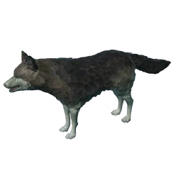 Gray Wolf, the game's picture