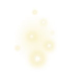 Firefly, the game's picture