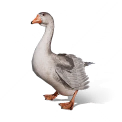 Giant Goose, the game's picture