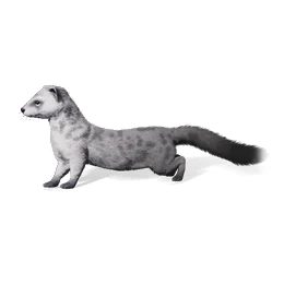 Inkbrush Mongoose, the game's picture