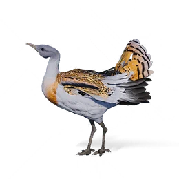 Bustard, the game's picture