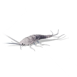 Ink Grub, the game's picture