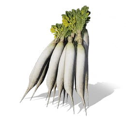 Radish, the game's picture