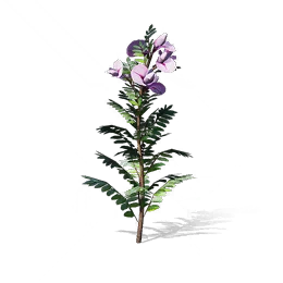 Trip-Vine Blossom, the game's picture