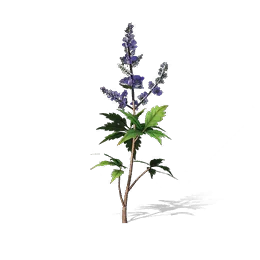 Bramble Twig, the game's picture