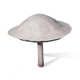 White Jade Mushroom, the game's picture