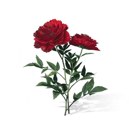 Nine-Stamen Pearl, the game's picture